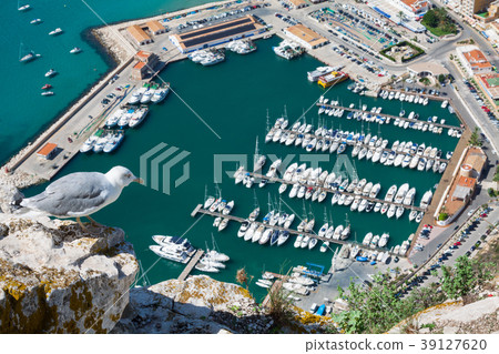 Coastline of Mediterranean Resort Calpe, Coastline of Mediterranean Resort Calpe, 39127620