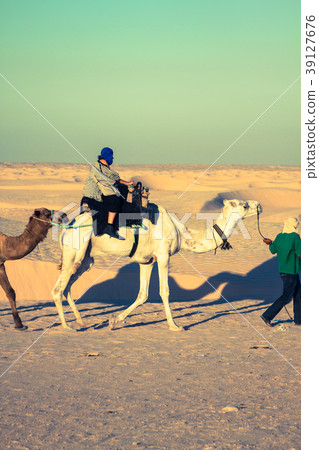 Beduins leading tourists on camels at short Beduins leading tourists on camels at short 39127676