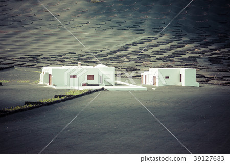 wine farm in la geria lanzarote 39127683