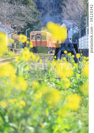 小島鐵道里美站火車和油菜籽春天 39128342