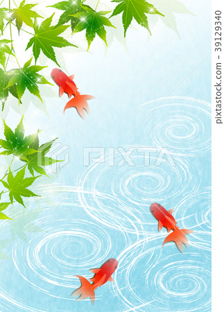 夏天金魚水背景 39129340