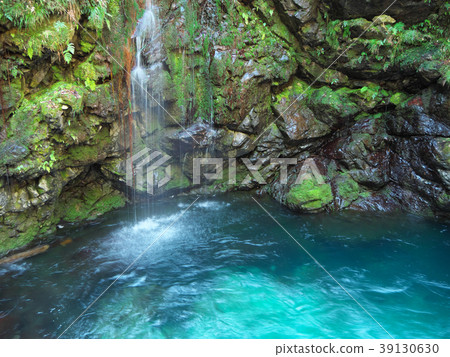 Unagi Densetsu Yodogawa-Yanagaki (Naga River branch-Mikami-cho, Gifu-gun, Gifu) Unagi Densetsu Yodogawa-Yanagaki (Naga River branch-Mikami-cho, Gifu-gun, Gifu) 39130630