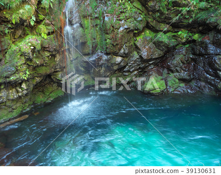 Unagi Densetsu Yodogawa-Yanagaki（岐阜郡岐阜縣Naga River分支 - 三上町） 39130631