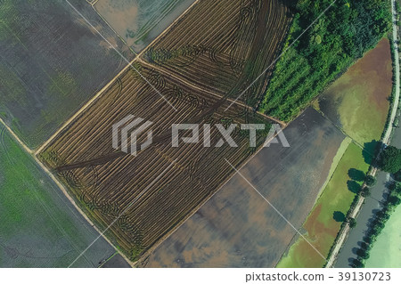 Aerial view preparation for rice paddy plantation Aerial view preparation for rice paddy plantation 39130723
