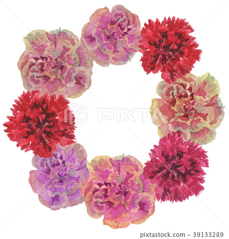 康乃馨 水彩畫 水彩 39133289