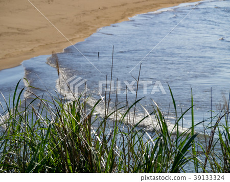 Beach 39133324