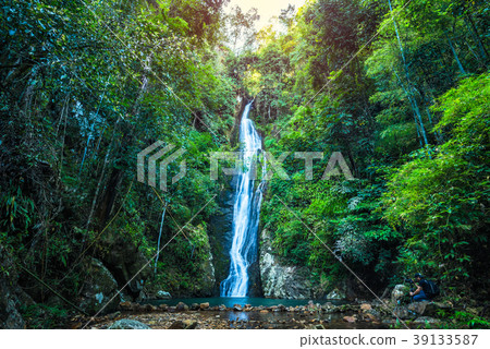 Waterfall in the tropical rainforest landscape 39133587