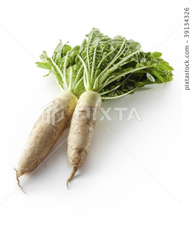 Freshly caught blue neck radish (back fly, shadow Iki) 39134326