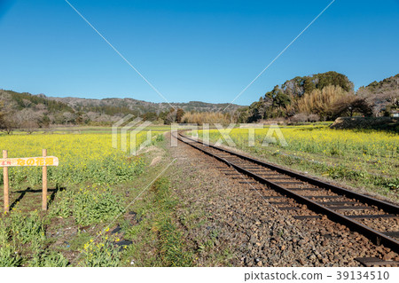鐵路風景，Koshiba鐵路Ishigami的強姦領域和軌道 39134510