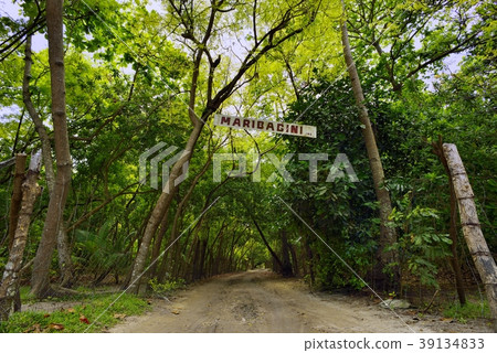Orango Island MARIBAGINI Orango Island MARIBAGINI 39134833