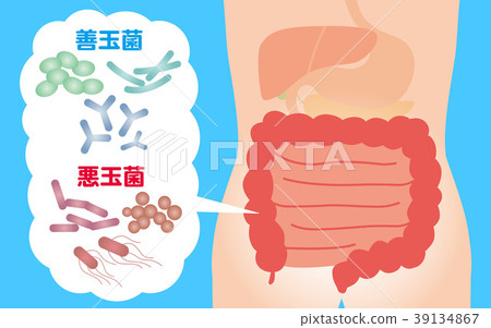 益生菌 39134867