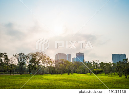 Green grass field with building in Public Park 39135186