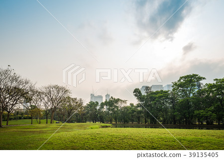 Green grass field with lake in Public Park 39135405