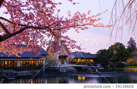 Night scene of cherry blossom Night scene of cherry blossom 39136608