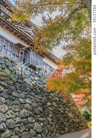 Scenery of the castle tower of Maruoka castle in autumn 39137262