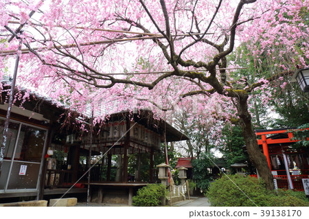 Kyoto Spring's fireworks Tenman-myeon Kyoto Spring's fireworks Tenman-myeon 39138170