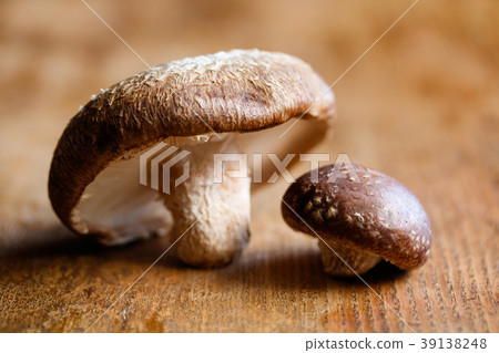 Shiitake Shiitake 39138248