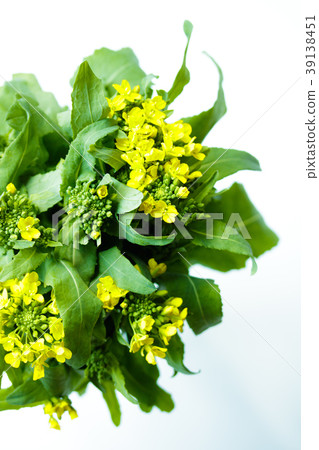 搖蘿蔔 搖蘿蔔 39138451