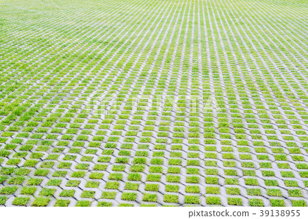 Eco-friendly parking with green grass Eco-friendly parking with green grass 39138955