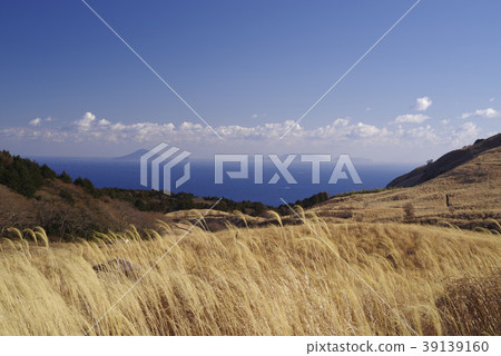 Shizuoka Prefecture Higashi Izu Hosono Wetland 8 Shizuoka Prefecture Higashi Izu Hosono Wetland 8 39139160
