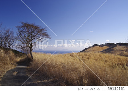 Shizuoka Prefecture Higashi Izu Hosono Wetland 9 Shizuoka Prefecture Higashi Izu Hosono Wetland 9 39139161