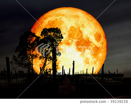 super blue blood moon abandon pier silhouette tree super blue blood moon abandon pier silhouette tree 39139238