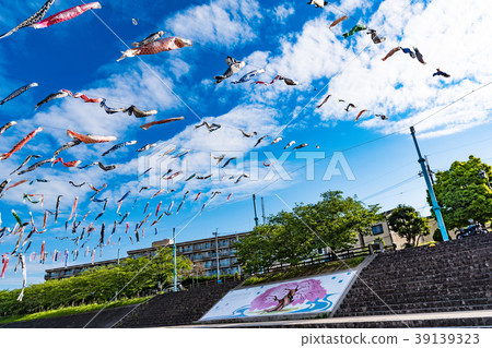 Koinobori and Aozora Takatsuki Sakura Park Koinobori and Aozora Takatsuki Sakura Park 39139323