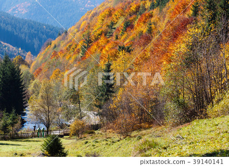 Autumn Carpathian mountain (Ukraine). Autumn Carpathian mountain (Ukraine). 39140141