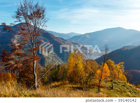 Autumn Carpathian mountain, Ukraine 39140142