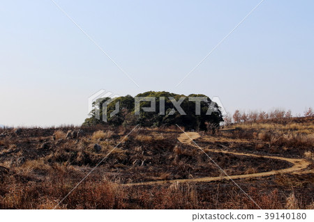 我的秋吉台地質公園，Chojagamori [Yamayaki] 39140180