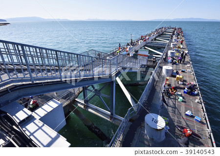 海上釣魚公園托托公園釣魚碼頭(森南郡泉南郡坂井町) 海上釣魚公園托托公園釣魚碼頭(森南郡泉南郡坂井町) 39140543