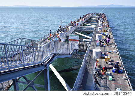 海上釣魚公園托托公園釣魚碼頭（森南郡泉南郡坂井町） 39140544