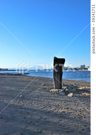 神奈川縣三浦市三崎町Jogashima的風景 39141711