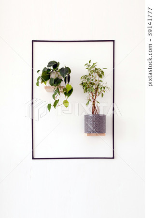 White wall with hanging flowerpots White wall with hanging flowerpots 39141777