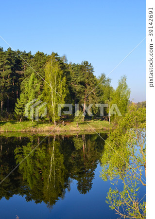 Forest is reflected in the calm blue water Forest is reflected in the calm blue water 39142691