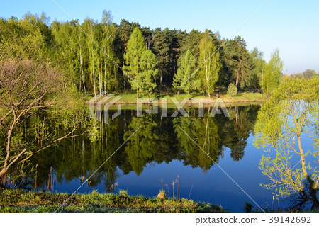 Forest is reflected in the calm blue water Forest is reflected in the calm blue water 39142692