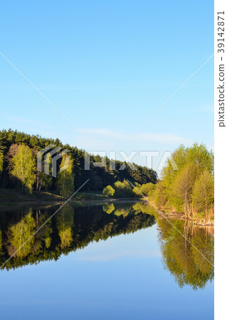 The forest is reflected in the calm blue water   39142871