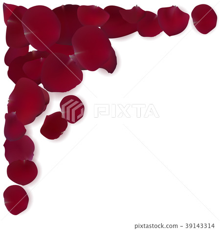Frame of red rose petals. 39143314