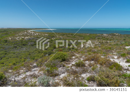 Coast, Cervantes, Western Australia 39145151