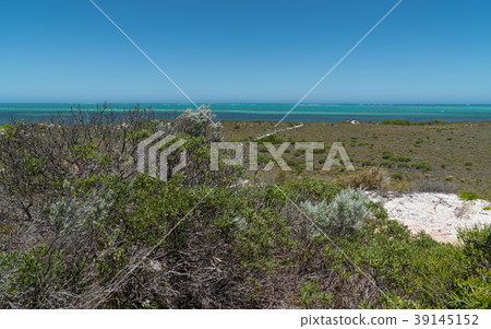 Coast, Cervantes, Western Australia 39145152