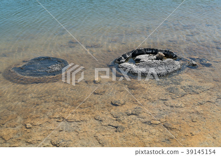 Nambung National Park, Western Australia 39145154