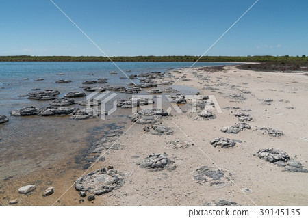 Nambung National Park, Western Australia 39145155