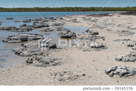 Nambung National Park, Western Australia 39145156