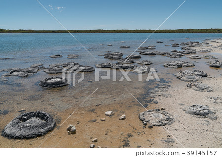 Nambung National Park, Western Australia 39145157