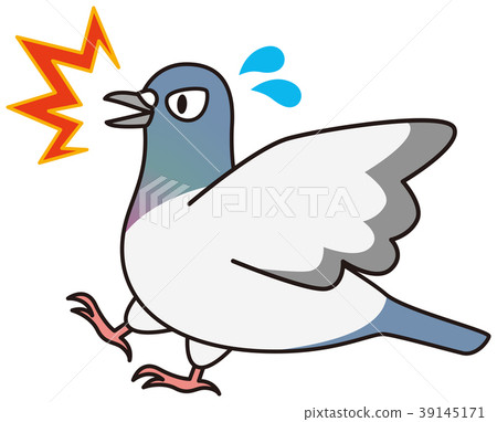 Pigeon measures 39145171