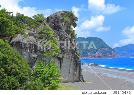 晴朗天氣下的棕櫚岩 39145476