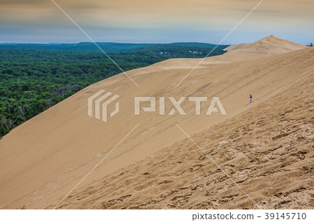 View from Dune of Pilat - the largest sand dune View from Dune of Pilat - the largest sand dune 39145710