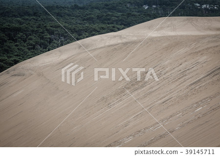 View from Dune of Pilat - the largest sand dune View from Dune of Pilat - the largest sand dune 39145711