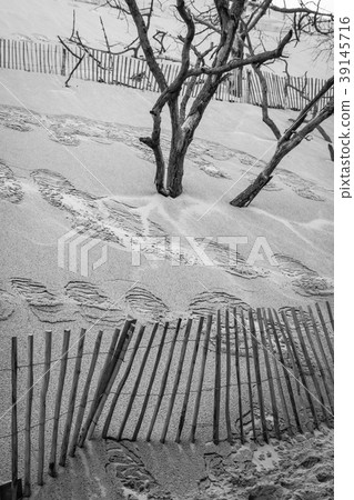The Famous dune of Pyla fences, the highest sand  39145716