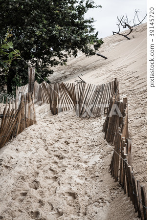 The Famous dune of Pyla fences, the highest sand  39145720